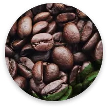 قهوه عربیکا