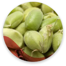 پوسته باقیمانده