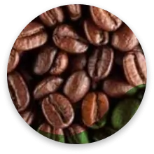 قهوه اکسلسا