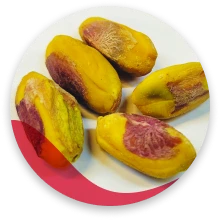 مغز پسته زرد گلدار