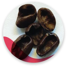 قهوه توخالی