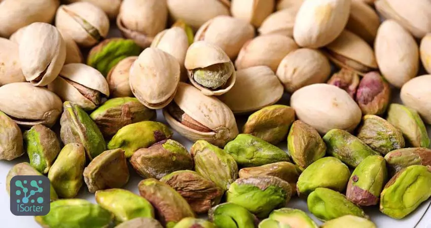 سورتر پسته برای سورت چه نوع پسته هایی مناسب است؟