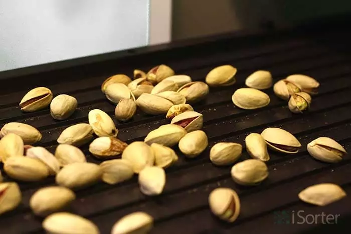 سورت پسته و شرایط تولید پسته در ایران