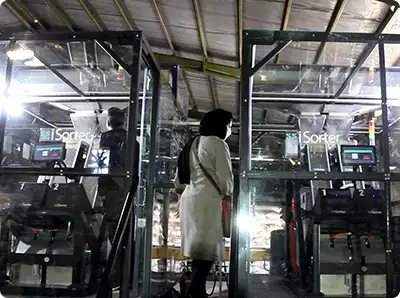 نصب دو دستگاه سورتر دو شوت پسته- کرمان- بهمن ۱۴۰۰