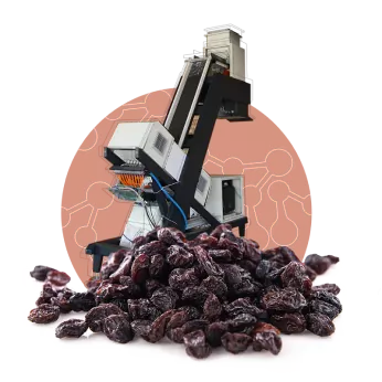 دستگاه سورتینگ کشمش