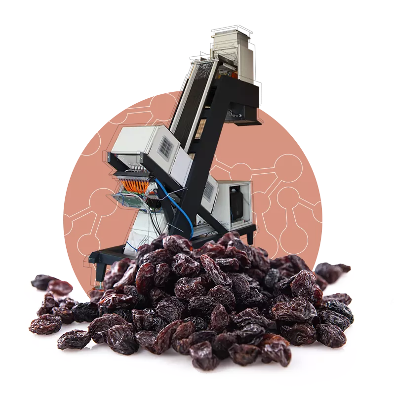 دستگاه سورتینگ کشمش