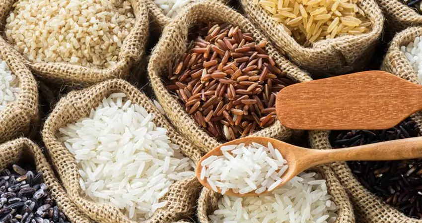 مزایای سورتینگ برنج برای کشاورزان