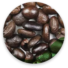 قهوه روبوستا