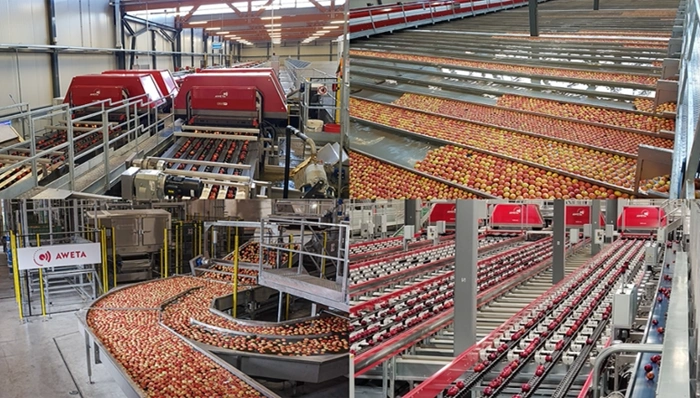 ماشین سورتینگ چیست؟