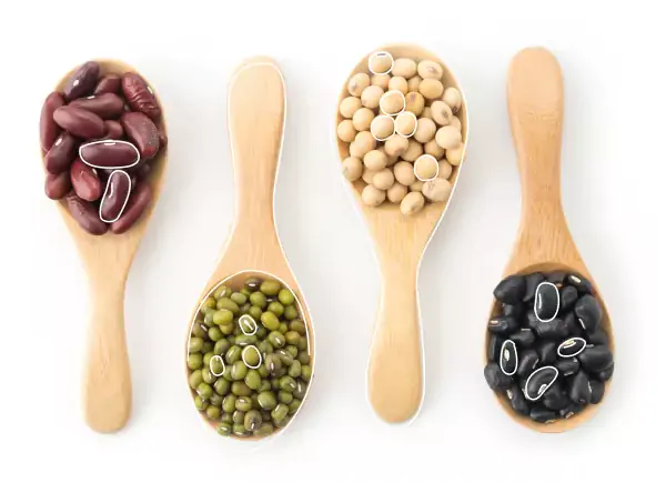 انواع حبوبات